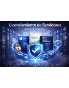 Server